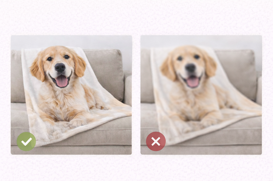 Fotoğraf Kalitesi Baskı Sonucunu Nasıl Etkiler?